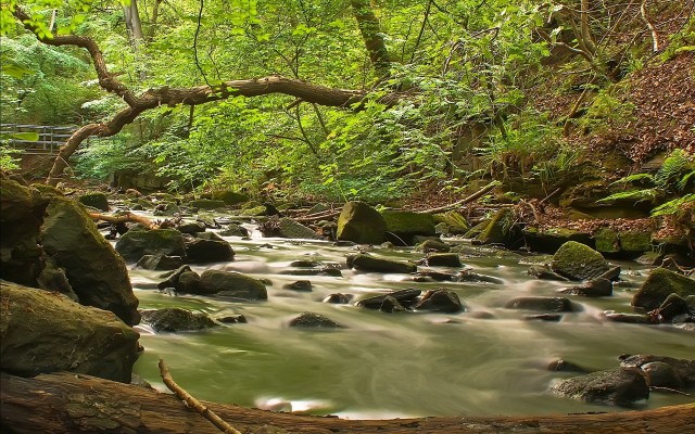Nature. Desktop wallpaper
