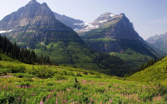 Nature. Desktop wallpaper