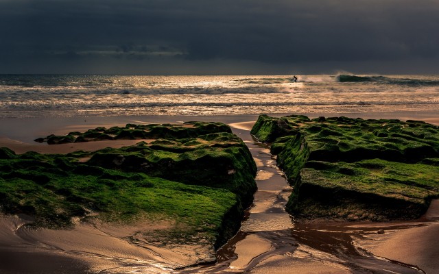 Nature. Desktop wallpaper