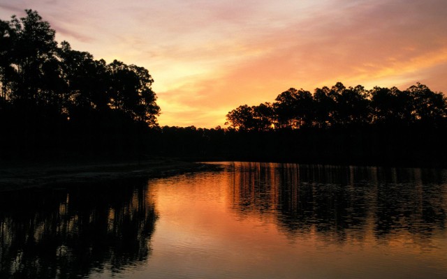 Nature. Desktop wallpaper