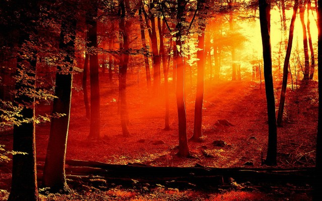 Nature. Desktop wallpaper