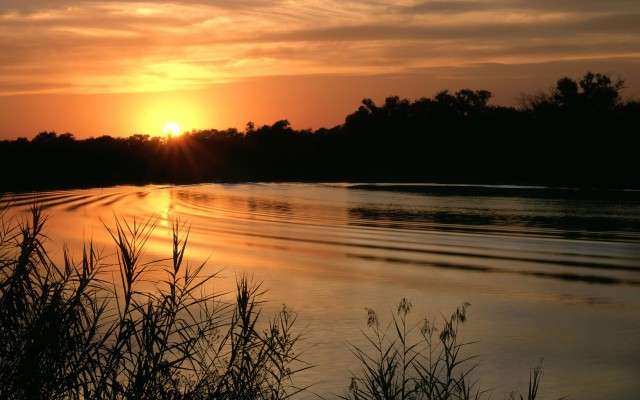 Nature. Desktop wallpaper