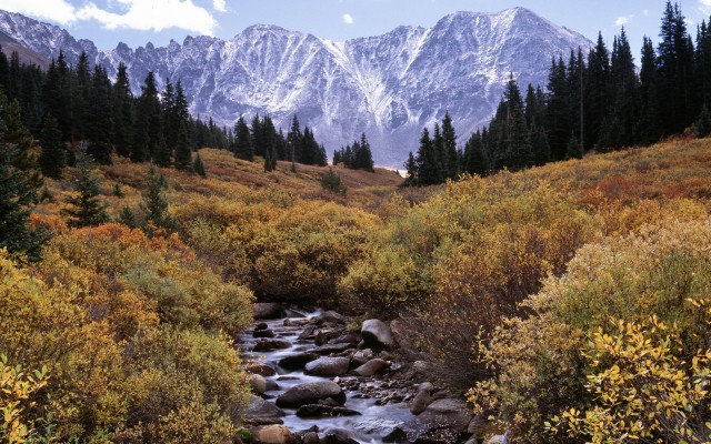 Nature. Desktop wallpaper