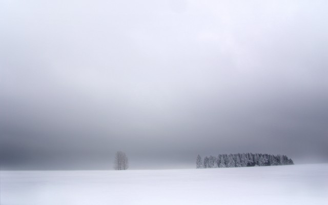 Nature. Desktop wallpaper