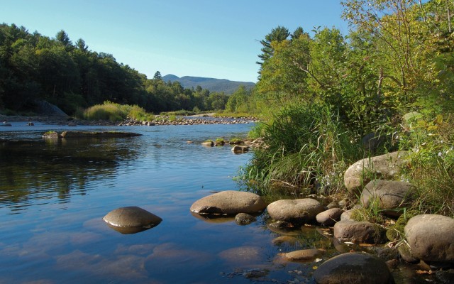 Nature. Desktop wallpaper