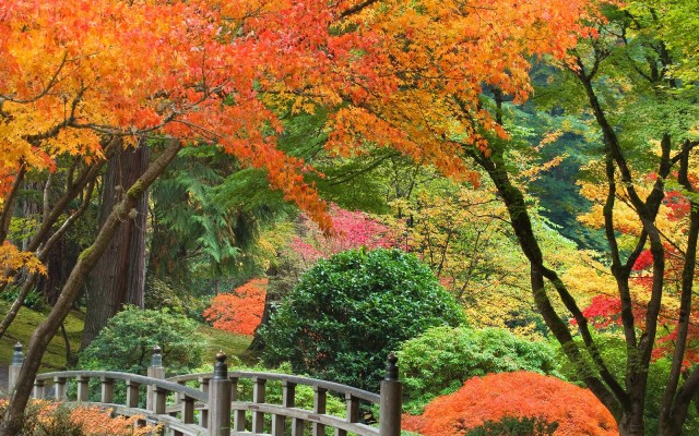 Nature. Desktop wallpaper