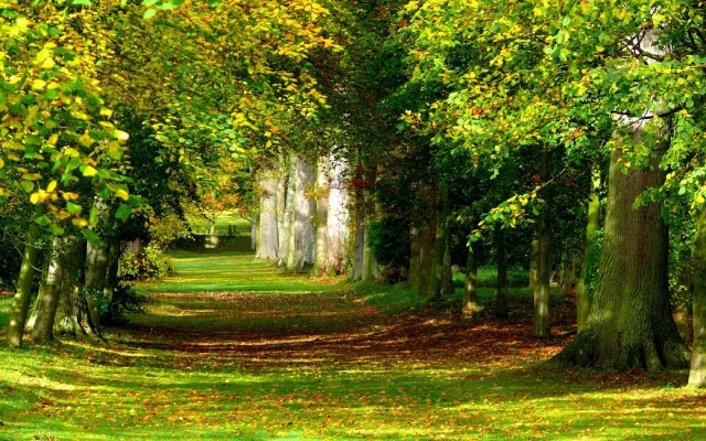 Nature. Desktop wallpaper