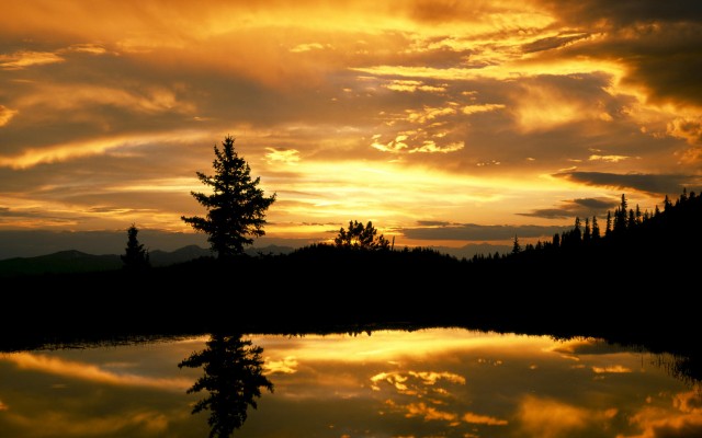 Nature. Desktop wallpaper