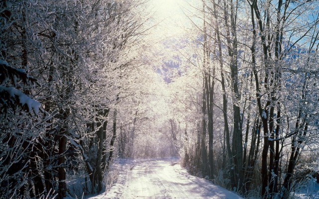 Nature. Desktop wallpaper