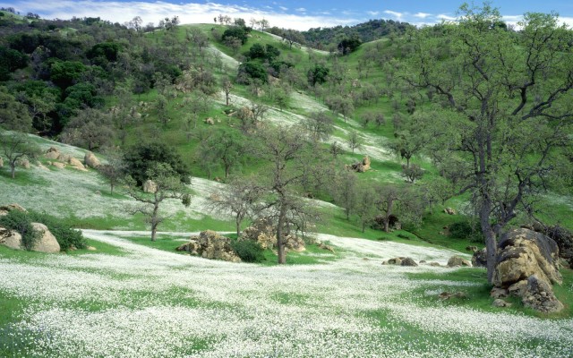 Nature. Desktop wallpaper