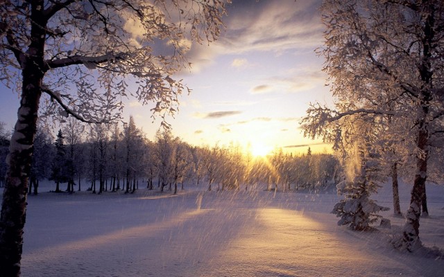 Nature. Desktop wallpaper