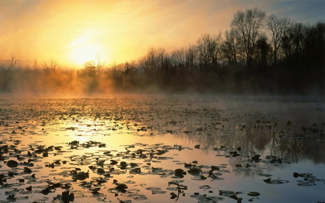Nature. Desktop wallpaper