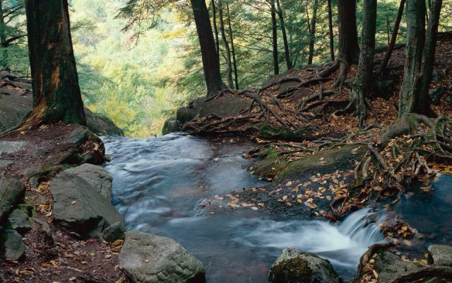 Nature. Desktop wallpaper
