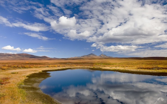 Nature. Desktop wallpaper