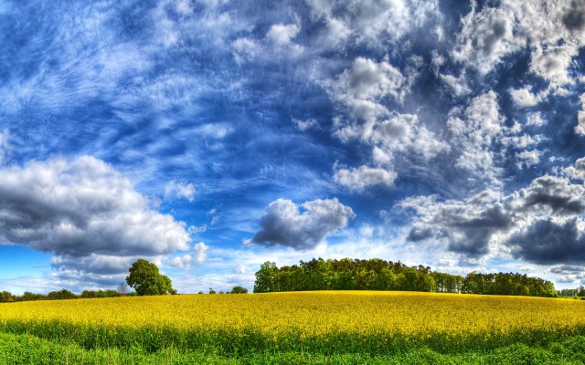 Nature. Desktop wallpaper