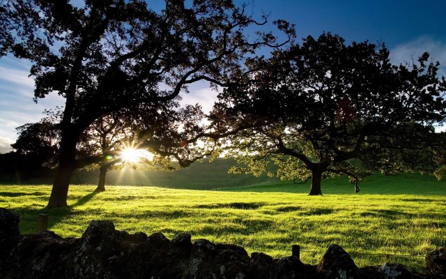 Nature. Desktop wallpaper