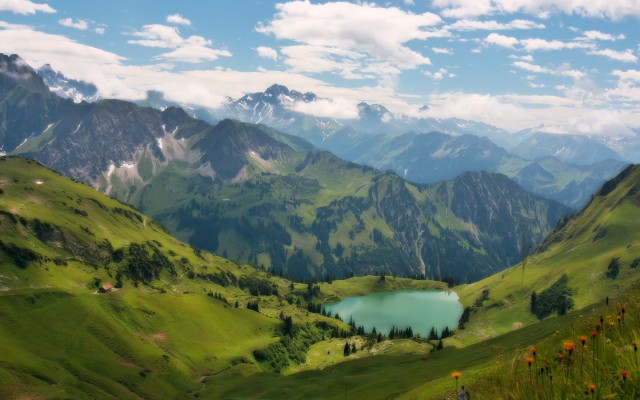 Nature. Desktop wallpaper