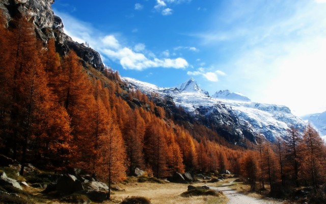 Nature. Desktop wallpaper
