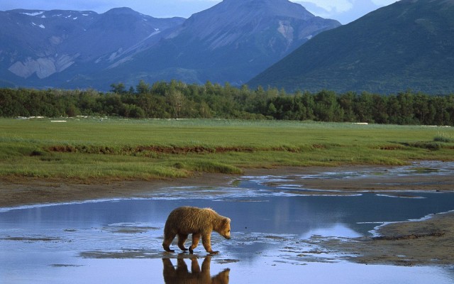 Nature. Desktop wallpaper