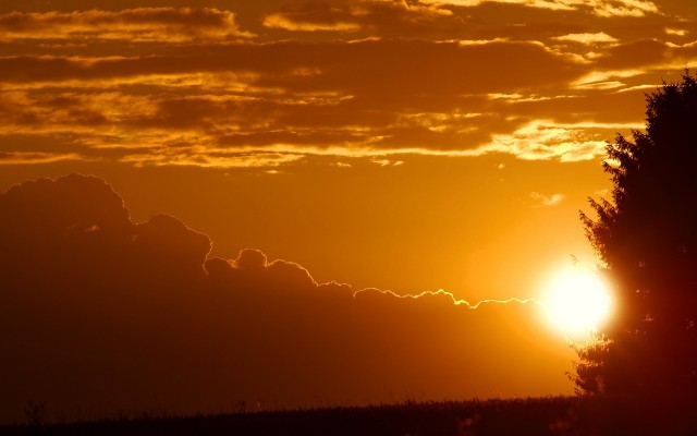 Nature. Desktop wallpaper