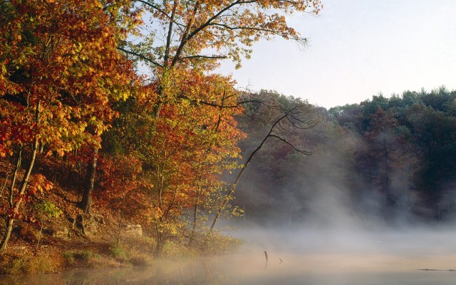 Nature. Desktop wallpaper