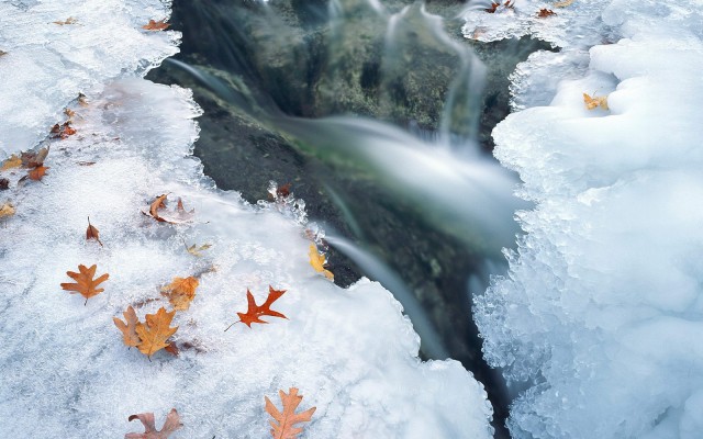 Nature. Desktop wallpaper