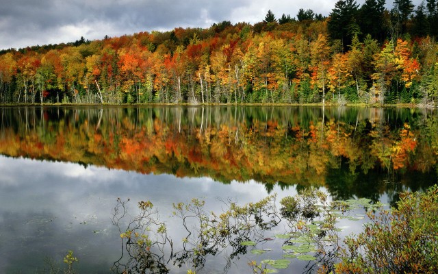 Nature. Desktop wallpaper