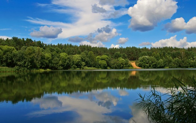 Nature. Desktop wallpaper