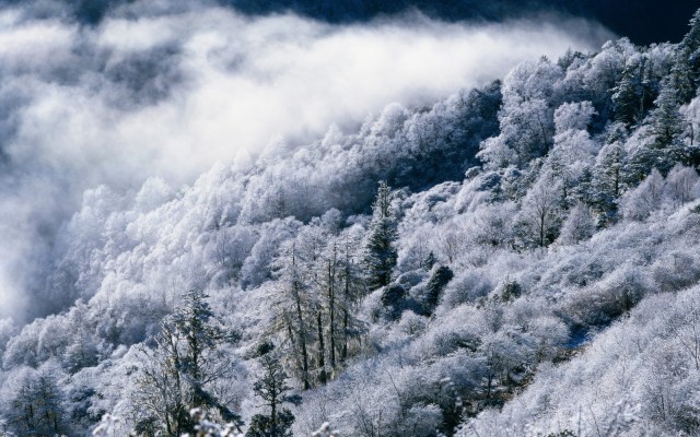 Nature. Desktop wallpaper