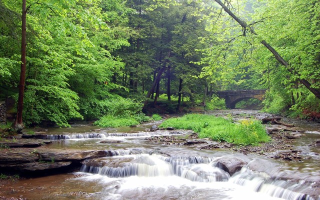 Nature. Desktop wallpaper