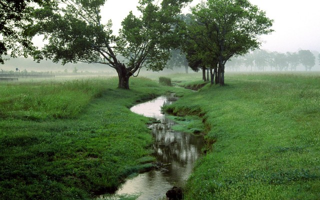 Nature. Desktop wallpaper