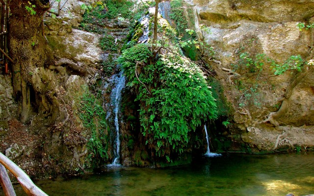 Nature. Desktop wallpaper