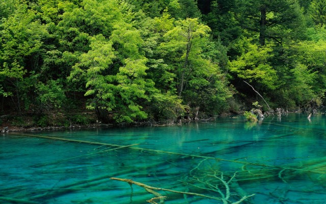 Nature. Desktop wallpaper