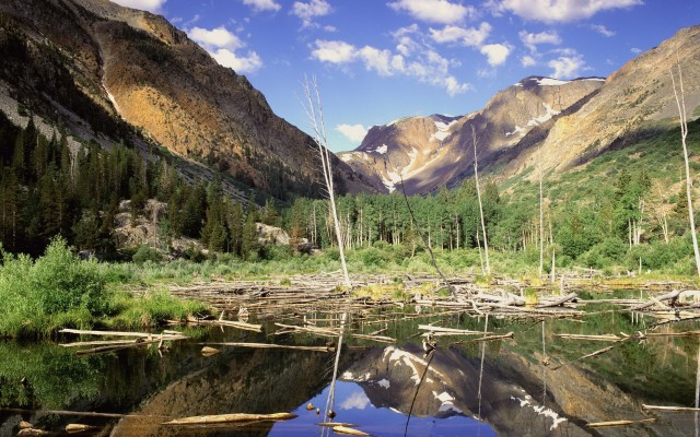 Nature. Desktop wallpaper