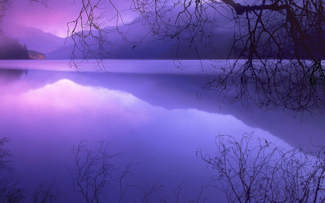 Nature. Desktop wallpaper