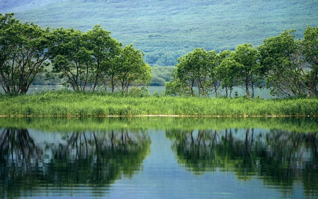 Nature. Desktop wallpaper