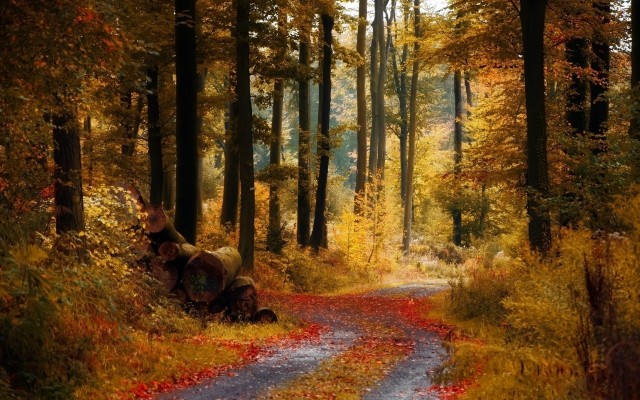 Nature. Desktop wallpaper