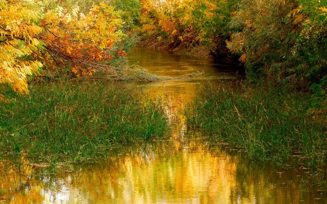 Nature. Desktop wallpaper