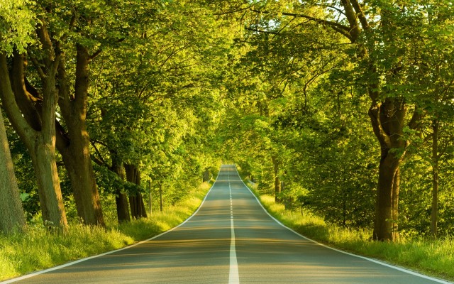 Nature. Desktop wallpaper
