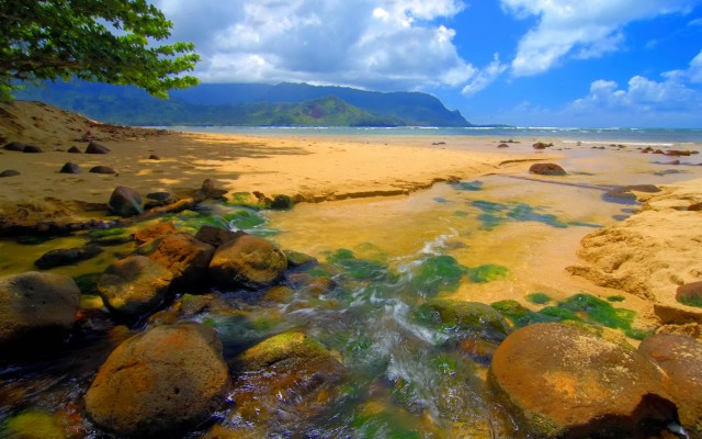 Nature. Desktop wallpaper