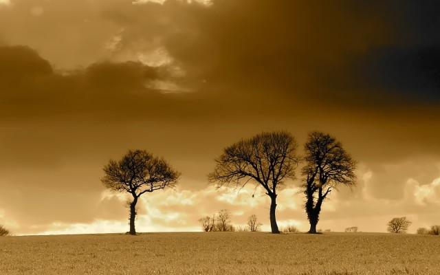Nature. Desktop wallpaper