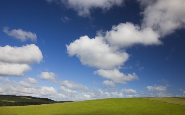 Nature. Desktop wallpaper