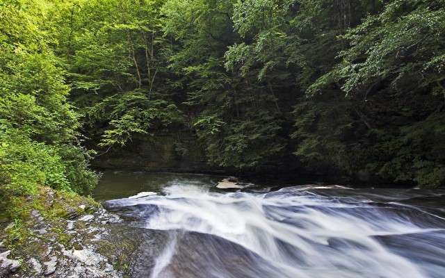 Nature. Desktop wallpaper