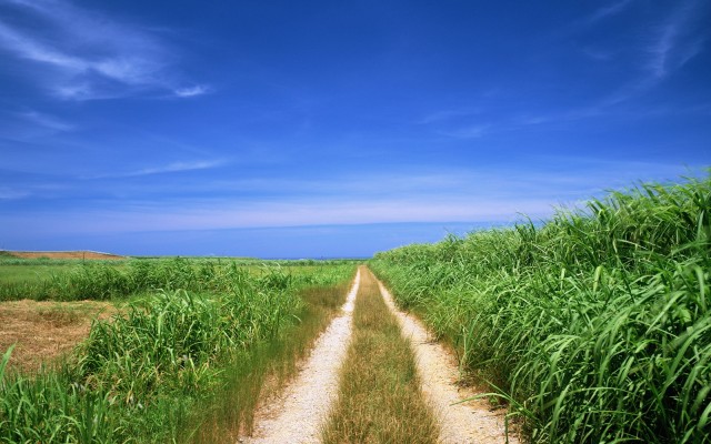 Nature. Desktop wallpaper