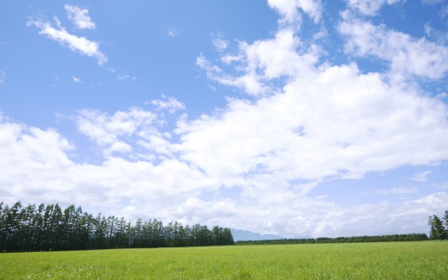 Nature. Desktop wallpaper