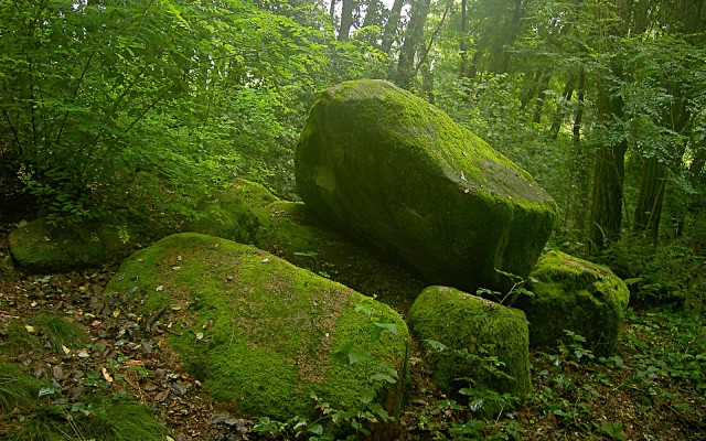 Nature. Desktop wallpaper