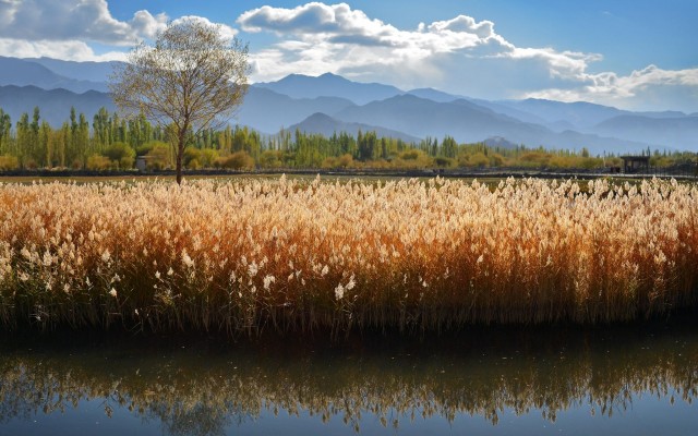 Nature. Desktop wallpaper