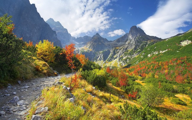 Nature. Desktop wallpaper