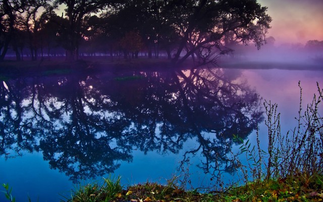 Nature. Desktop wallpaper