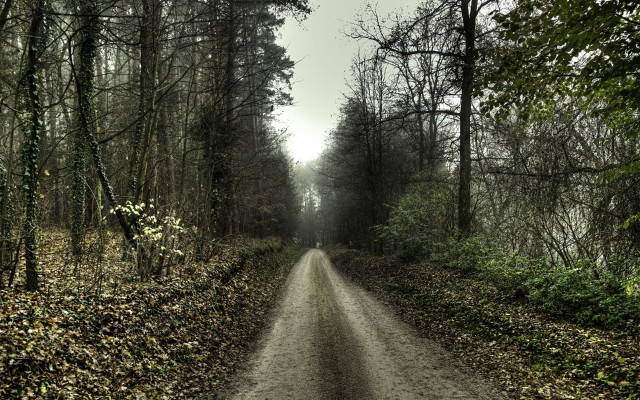 Nature. Desktop wallpaper
